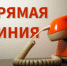 Прямая линия в приемной Губернатора по вопросу газификации в Новосибирской области - Город Обь
