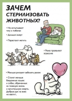 Профилактика нарушений при содержании домашних животных