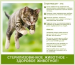 Профилактика нарушений при содержании домашних животных