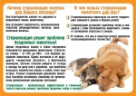 Профилактика нарушений при содержании домашних животных