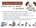 Профилактика нарушений при содержании домашних животных