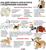Профилактика нарушений при содержании домашних животных