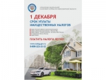 Срок уплаты налога