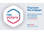 Преимущества получения государственных или муниципальных услуг в электронной форме