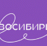 О продвижении регионального бренда  «Новосибирь» - Город Обь