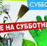 Субботник - Город Обь