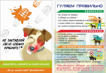 Призываем хозяев домашних животных гулять со своими питомцами правильно