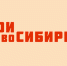 Стартовал приём заявок от ветеранов и участников СВО, желающих принять участие в проекте «Герои НовоСибири» - Город Обь