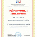 «XIII отчётно-выборная конференция Новосибирской областной организации Профсоюза»