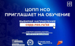 Активные меры содействия занятости