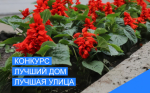 Администрация города проводит конкурс «Лучший многоквартирный дом, лучшая улица частного сектора, город в цветах - счастье в домах»