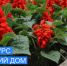 Итоги конкурса «Лучший многоквартирный дом, лучшая улица частного сектора, город в цветах – счастье в домах» в городе Оби Новосибирской области» - Город Обь