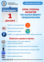 Срок уплаты налогов по налоговому уведомлению