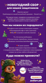 Добро-центр города Оби проводит новогодний сбор для участников СВО