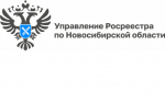 Специалисты новосибирского Росреестра ответят на вопросы о земельных участках