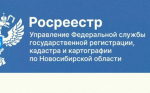 В Новосибирской области беспилотники помогают выявлять самовольные захваты земельных участков.          