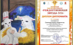 РОЖДЕСТВЕНСКАЯ ЗВЕЗДА-2026