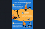 Памятки по ответственно обращению с домашними животными