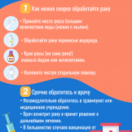 Памятки по ответственно обращению с домашними животными
