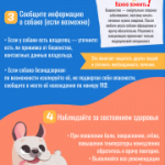 Памятки по ответственно обращению с домашними животными