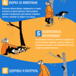 Памятки по ответственно обращению с домашними животными