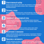 Памятки по ответственно обращению с домашними животными
