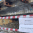 Переход под железной дорогой в районе остановки ул. Октябрьская закрыт, в связи с аварией на водоводе - Город Обь