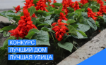 Администрация города проводит конкурс «Лучший многоквартирный дом, лучшая улица частного сектора, город в цветах - счастье в домах»