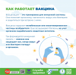 Вакцинация - Забота о себе и других!