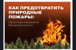 Пожар не случайность, а чья то беспечность